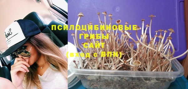 сатива Алексеевка