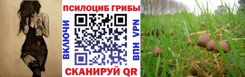 где можно купить наркотик  Макушино  Галлюциногенные грибы мухоморы 
